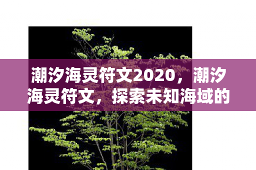 潮汐海灵符文2020,潮汐海灵符文,探索未知海域的神秘力量 潮汐海灵符文2020,潮汐海灵符文,探索未知海域的神秘力量