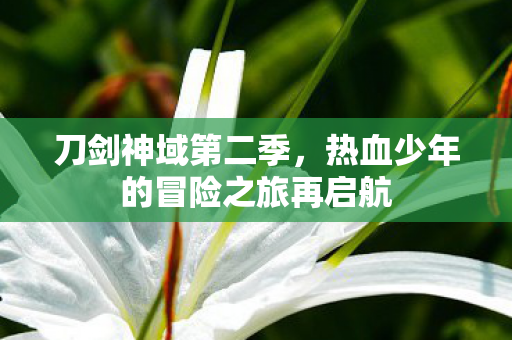 刀剑神域第二季,热血少年的冒险之旅再启航 刀剑神域第二季,热血少年的冒险之旅再启航