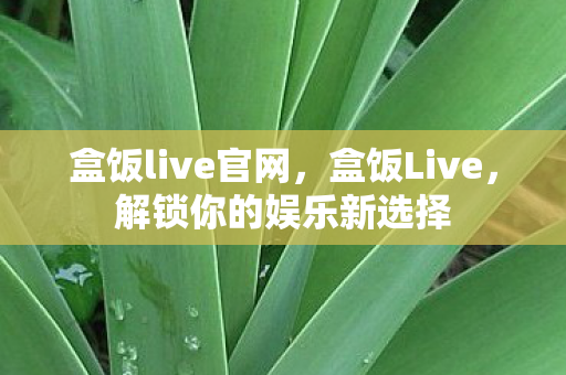 盒饭live官网，盒饭Live，解锁你的娱乐新选择