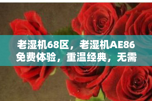 老湿机68区,老湿机AE86免费体验,重温经典,无需付费 老湿机68区,老湿机AE86免费体验,重温经典,无需付费