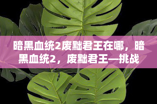 暗黑血统2废黜君王在哪,暗黑血统2,废黜君王—挑战与荣耀的交织 暗黑血统2废黜君王在哪,暗黑血统2,废黜君王—挑战与荣耀的交织