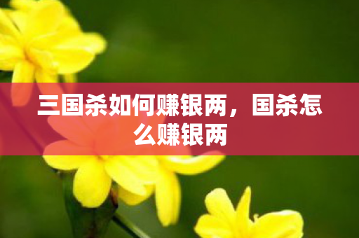 三国杀如何赚银两，国杀怎么赚银两
