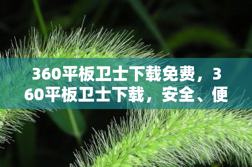 360平板卫士下载免费,360平板卫士下载,安全、便捷、高效的平板防护工具 360平板卫士下载免费,360平板卫士下载,安全、便捷、高效的平板防护工具