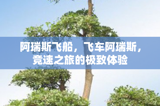 阿瑞斯飞船,飞车阿瑞斯,竞速之旅的极致体验 阿瑞斯飞船,飞车阿瑞斯,竞速之旅的极致体验