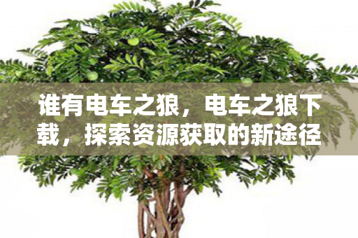 谁有电车之狼,电车之狼下载,探索资源获取的新途径 谁有电车之狼,电车之狼下载,探索资源获取的新途径
