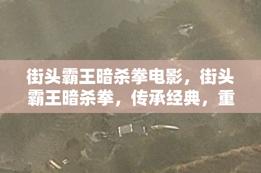 街头霸王暗杀拳电影,街头霸王暗杀拳,传承经典,重塑格斗之魂 街头霸王暗杀拳电影,街头霸王暗杀拳,传承经典,重塑格斗之魂