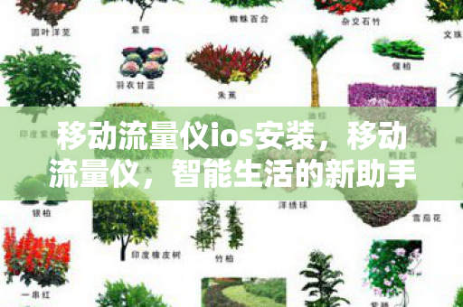 移动流量仪ios安装,移动流量仪,智能生活的新助手 移动流量仪ios安装,移动流量仪,智能生活的新助手