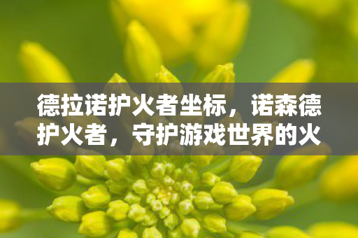 德拉诺护火者坐标,诺森德护火者,守护游戏世界的火焰 德拉诺护火者坐标,诺森德护火者,守护游戏世界的火焰
