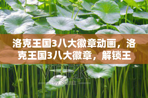 洛克王国3八大徽章动画，洛克王国3八大徽章，解锁王国力量的关键