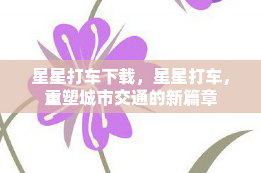 星星打车下载,星星打车,重塑城市交通的新篇章 星星打车下载,星星打车,重塑城市交通的新篇章