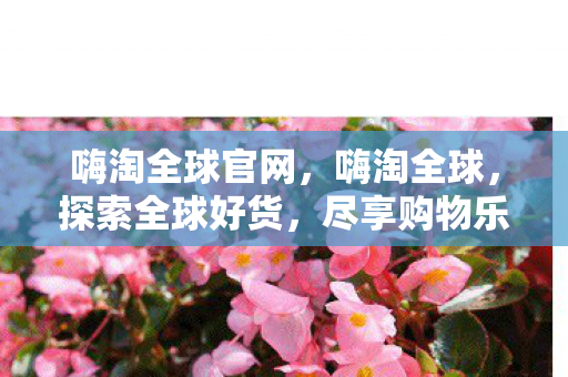 嗨淘全球官网,嗨淘全球,探索全球好货,尽享购物乐趣 嗨淘全球官网,嗨淘全球,探索全球好货,尽享购物乐趣