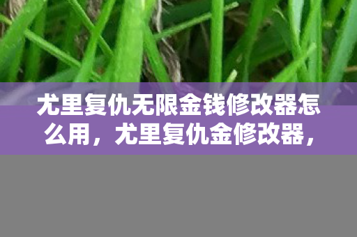 尤里复仇无限金钱修改器怎么用，尤里复仇金修改器，解锁游戏新境界的必备神器