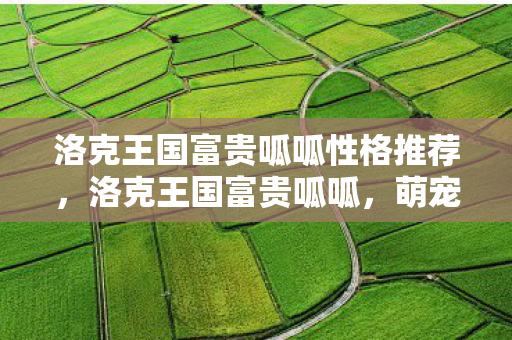洛克王国富贵呱呱性格推荐，洛克王国富贵呱呱，萌宠养成新体验