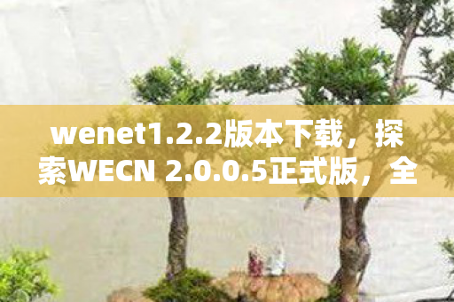 wenet1.2.2版本下载,探索WECN 2.0.0.5正式版,全新功能与应用场景解析 wenet1.2.2版本下载,探索WECN 2.0.0.5正式版,全新功能与应用场景解析