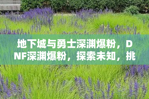 地下城与勇士深渊爆粉,DNF深渊爆粉,探索未知,挑战极限的冒险之旅 地下城与勇士深渊爆粉,DNF深渊爆粉,探索未知,挑战极限的冒险之旅