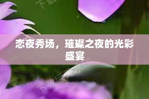 恋夜秀场,璀璨之夜的光彩盛宴 恋夜秀场,璀璨之夜的光彩盛宴