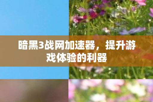 暗黑3战网加速器,提升游戏体验的利器 暗黑3战网加速器,提升游戏体验的利器