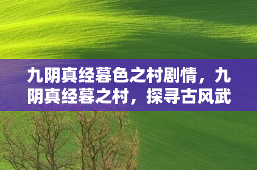 九阴真经暮色之村剧情,九阴真经暮之村,探寻古风武侠世界的魅力 九阴真经暮色之村剧情,九阴真经暮之村,探寻古风武侠世界的魅力