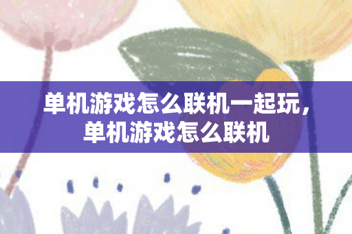 单机游戏怎么联机一起玩,单机游戏怎么联机 单机游戏怎么联机一起玩,单机游戏怎么联机