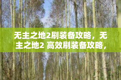 无主之地2刷装备攻略,无主之地2 高效刷装备攻略,打造顶级装备不是梦! 无主之地2刷装备攻略,无主之地2 高效刷装备攻略,打造顶级装备不是梦!