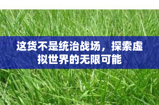 这货不是统治战场，探索虚拟世界的无限可能