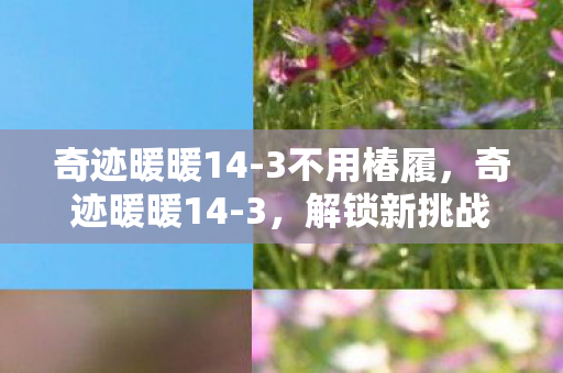 奇迹暖暖14-3不用椿履，奇迹暖暖14-3，解锁新挑战，时尚与策略的双重盛宴