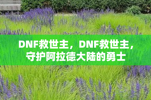 DNF救世主,DNF救世主,守护阿拉德大陆的勇士 DNF救世主,DNF救世主,守护阿拉德大陆的勇士