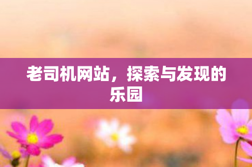 老司机网站,探索与发现的乐园 老司机网站,探索与发现的乐园