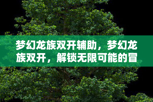 梦幻龙族双开辅助,梦幻龙族双开,解锁无限可能的冒险之旅 梦幻龙族双开辅助,梦幻龙族双开,解锁无限可能的冒险之旅