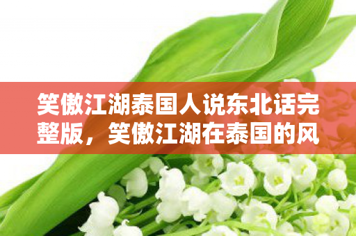 笑傲江湖泰国人说东北话完整版,笑傲江湖在泰国的风靡,跨越文化的武侠情怀 笑傲江湖泰国人说东北话完整版,笑傲江湖在泰国的风靡,跨越文化的武侠情怀