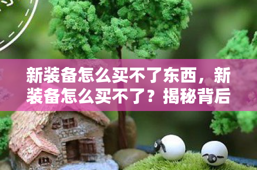 新装备怎么买不了东西，新装备怎么买不了？揭秘背后的原因与解决方案