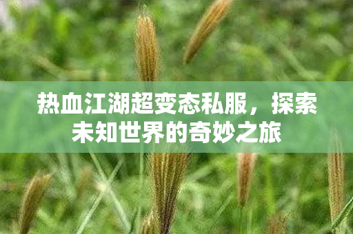 热血江湖超变态私服,探索未知世界的奇妙之旅 热血江湖超变态私服,探索未知世界的奇妙之旅