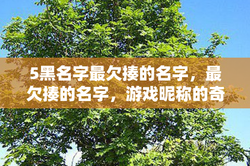 5黑名字最欠揍的名字,最欠揍的名字,游戏昵称的奇葩艺术 5黑名字最欠揍的名字,最欠揍的名字,游戏昵称的奇葩艺术