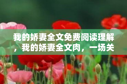 我的娇妻全文免费阅读理解,我的娇妻全文肉,一场关于爱与欲望的深刻探讨 我的娇妻全文免费阅读理解,我的娇妻全文肉,一场关于爱与欲望的深刻探讨
