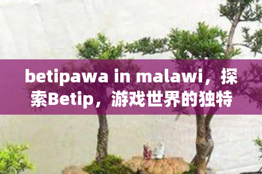 betipawa in malawi,探索Betip,游戏世界的独特魅力与无限可能 betipawa in malawi,探索Betip,游戏世界的独特魅力与无限可能