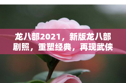 龙八部2021,新版龙八部剧照,重塑经典,再现武侠传奇 龙八部2021,新版龙八部剧照,重塑经典,再现武侠传奇