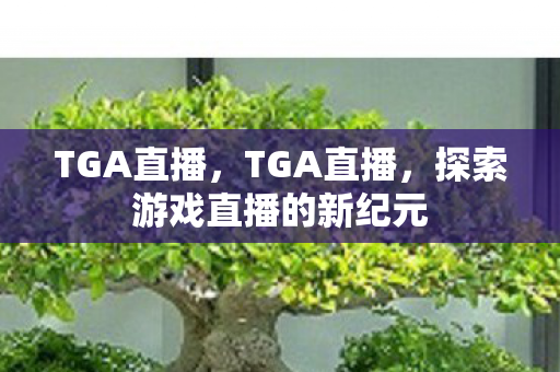 TGA直播，TGA直播，探索游戏直播的新纪元