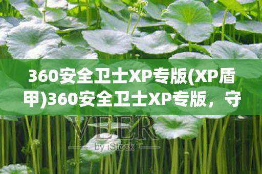 360安全卫士XP专版(XP盾甲)360安全卫士XP专版,守护老旧系统的安全防线 360安全卫士XP专版(XP盾甲)360安全卫士XP专版,守护老旧系统的安全防线