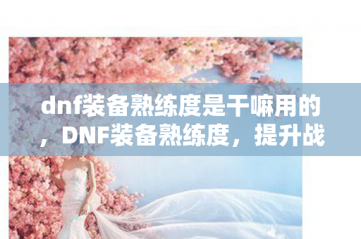 dnf装备熟练度是干嘛用的,DNF装备熟练度,提升战斗力的关键 dnf装备熟练度是干嘛用的,DNF装备熟练度,提升战斗力的关键