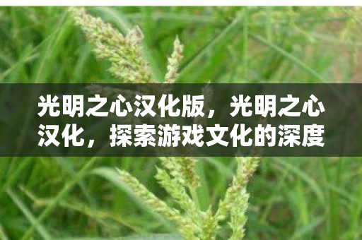 光明之心汉化版,光明之心汉化,探索游戏文化的深度与广度 光明之心汉化版,光明之心汉化,探索游戏文化的深度与广度