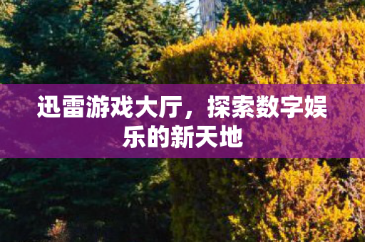 迅雷游戏大厅,探索数字娱乐的新天地 迅雷游戏大厅,探索数字娱乐的新天地