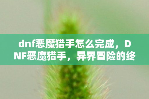 dnf恶魔猎手怎么完成,DNF恶魔猎手,异界冒险的终极挑战 dnf恶魔猎手怎么完成,DNF恶魔猎手,异界冒险的终极挑战