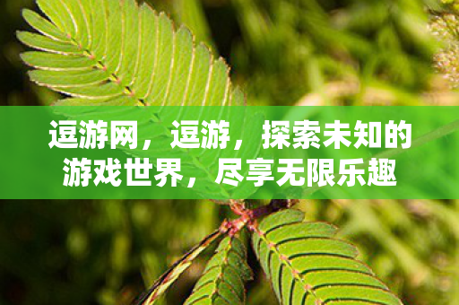 逗游网,逗游,探索未知的游戏世界,尽享无限乐趣 逗游网,逗游,探索未知的游戏世界,尽享无限乐趣