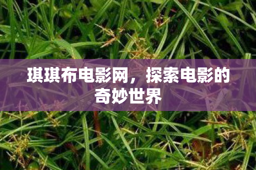 琪琪布电影网，探索电影的奇妙世界