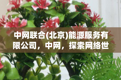 中网联合(北京)能源服务有限公司,中网,探索网络世界的无限可能 中网联合(北京)能源服务有限公司,中网,探索网络世界的无限可能