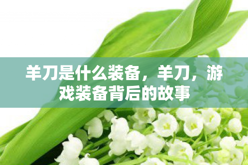 羊刀是什么装备,羊刀,游戏装备背后的故事 羊刀是什么装备,羊刀,游戏装备背后的故事