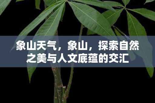 象山天气,象山,探索自然之美与人文底蕴的交汇 象山天气,象山,探索自然之美与人文底蕴的交汇