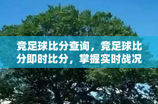 竞足球比分查询,竞足球比分即时比分,掌握实时战况,洞悉比赛走向 竞足球比分查询,竞足球比分即时比分,掌握实时战况,洞悉比赛走向