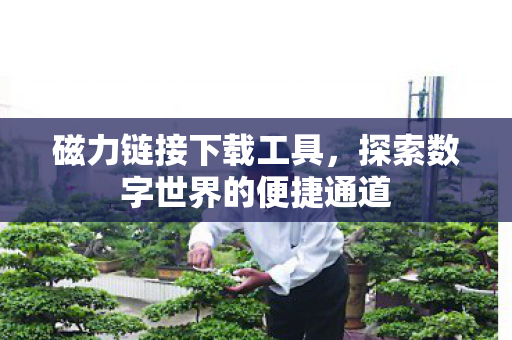 磁力链接下载工具,探索数字世界的便捷通道 磁力链接下载工具,探索数字世界的便捷通道