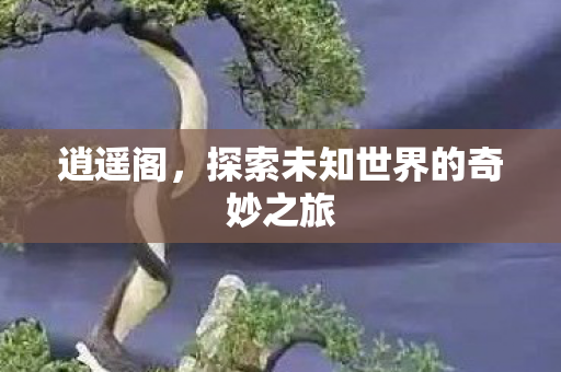 逍遥阁,探索未知世界的奇妙之旅 逍遥阁,探索未知世界的奇妙之旅